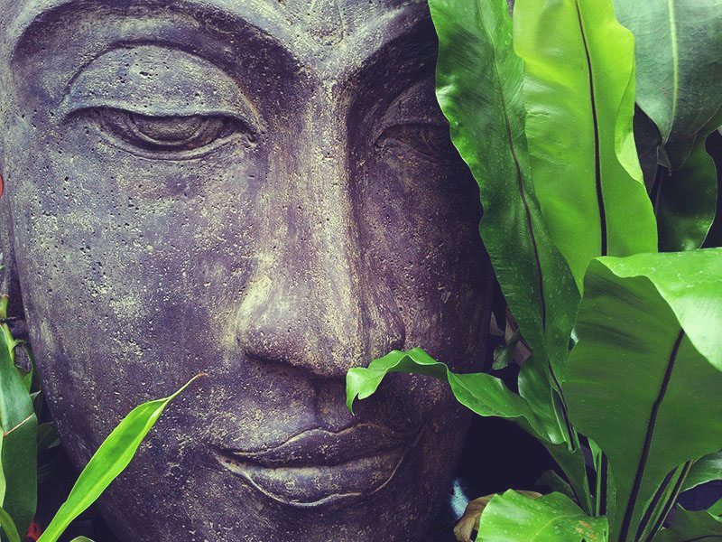 zen